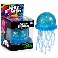 Schylling NeeDoh Jelly Squish