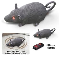 KIDOYS Wall-Climbing Stunt Mouse | 360° Rotating Remote Control Toy (Ages 3+)